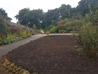 Garden in Edgebaston_result