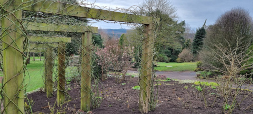 Garden in Harbourne_result