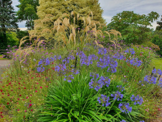 Modern flower border_result