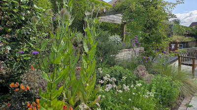 Gardens Under Our Stewardship